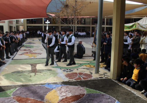 banner-2 banner-2